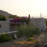 DSC03736