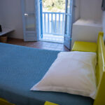 Plakes (5)